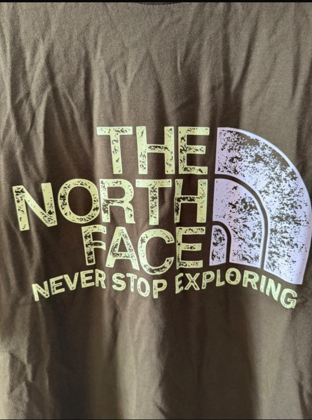 The North Face Men’s Green Logo Graphic Print Crew Neck Short Sleeve T-Shirt M