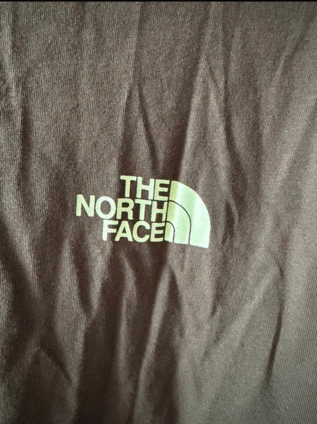 The North Face Men’s Green Logo Graphic Print Crew Neck Short Sleeve T-Shirt M