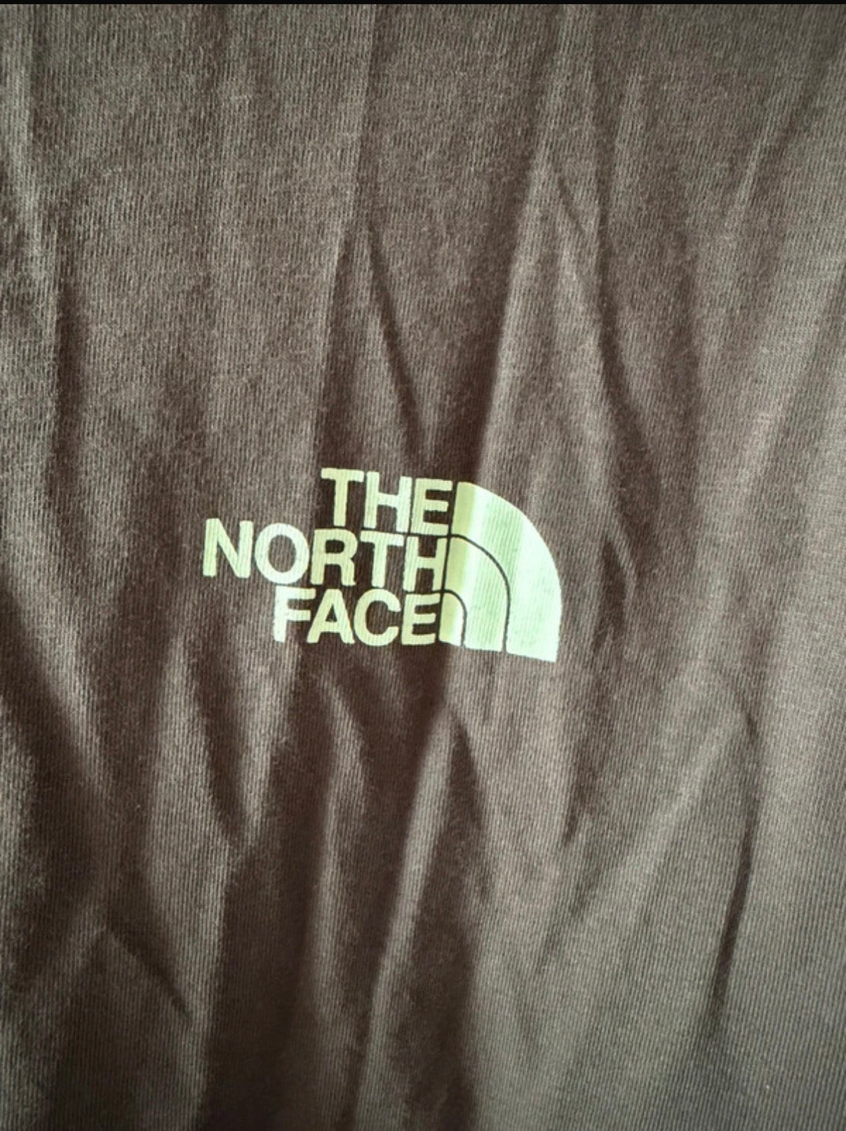 The North Face Men’s Green Logo Graphic Print Crew Neck Short Sleeve T-Shirt M